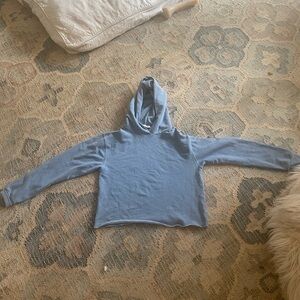 perfectwhitetee Cut off Hoodie Sweatshirt in Mountain Blue